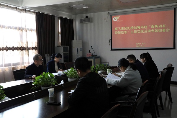 丽盈娱乐官网集团纪检监察系统“聚焦四有、锻铸铁军”主题实践活动专题部署会.jpg
